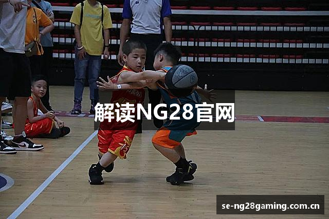 解读NG28官网